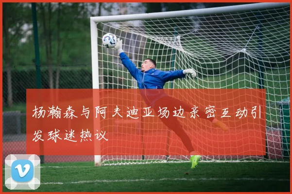 杨瀚森与阿夫迪亚场边亲密互动引发球迷热议