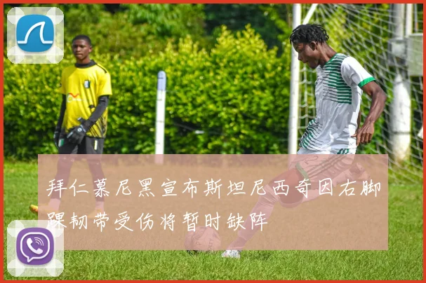 拜仁慕尼黑宣布斯坦尼西奇因右脚踝韧带受伤将暂时缺阵