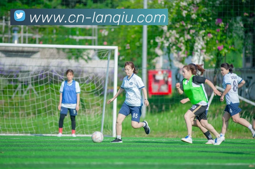 篮球赌注平台生态图