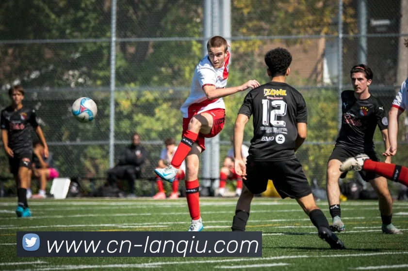 篮球赌注APP 封面图